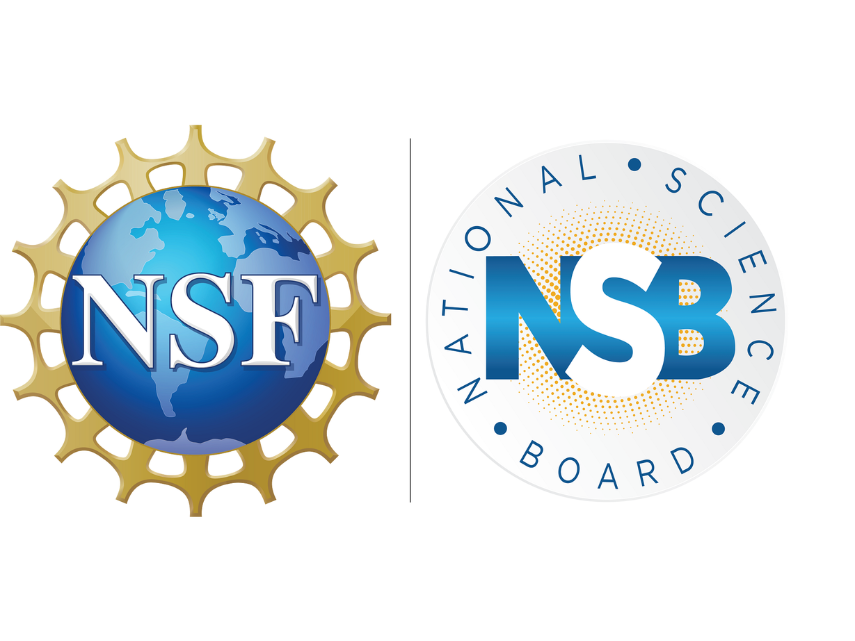The National Science Foundation Logo